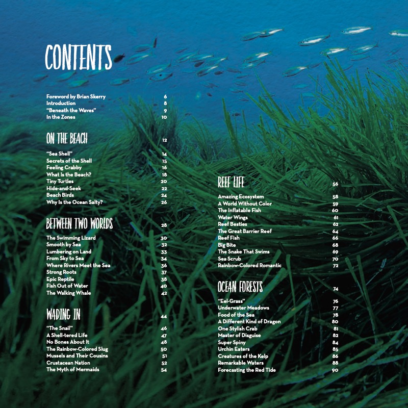 Beneath the Waves: Celebrating the Ocean Through Pictures, Poems, and Stories — page 1