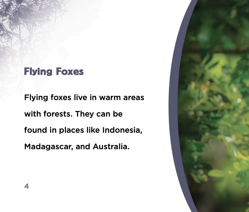 Spooky Animals: Flying Foxes — page 1