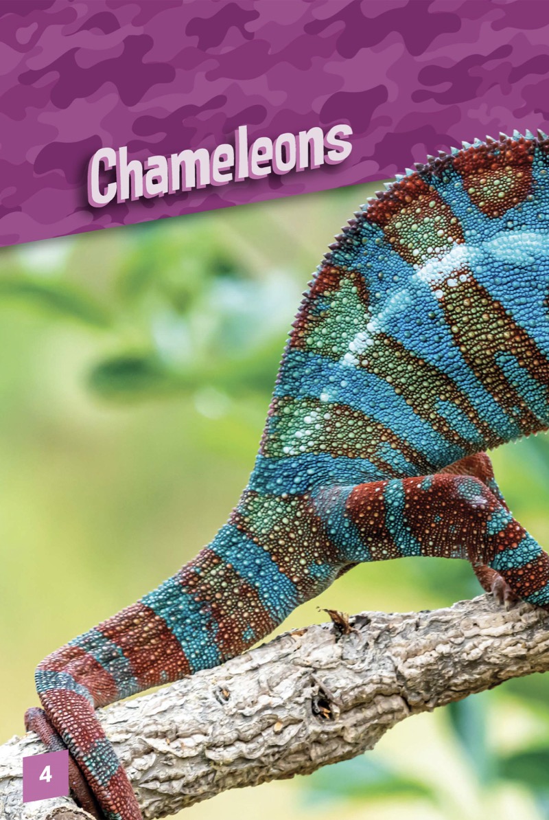 Animals with Camo: Chameleons — page 1