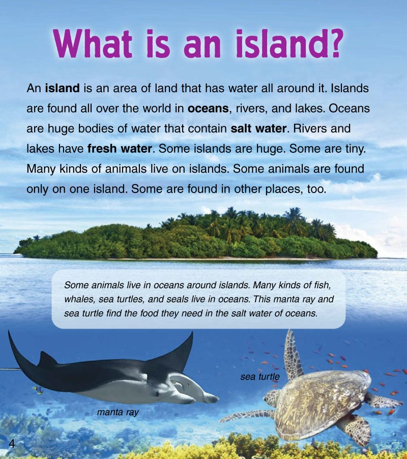 Baby Animals on Islands — page 1