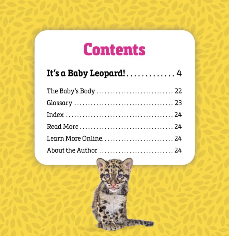 Animal Babies: Baby Leopards book cover
