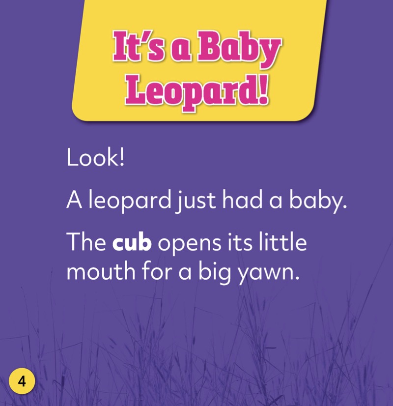 Animal Babies: Baby Leopards — page 1