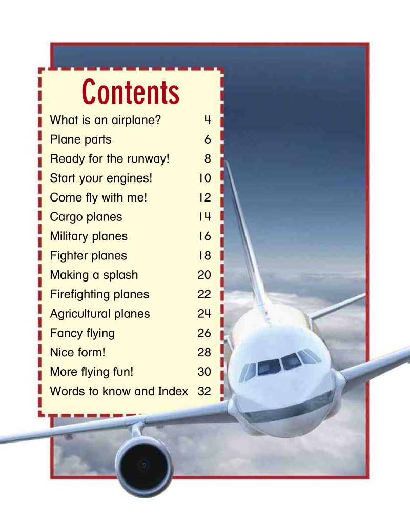 High-Flying Airplanes book cover