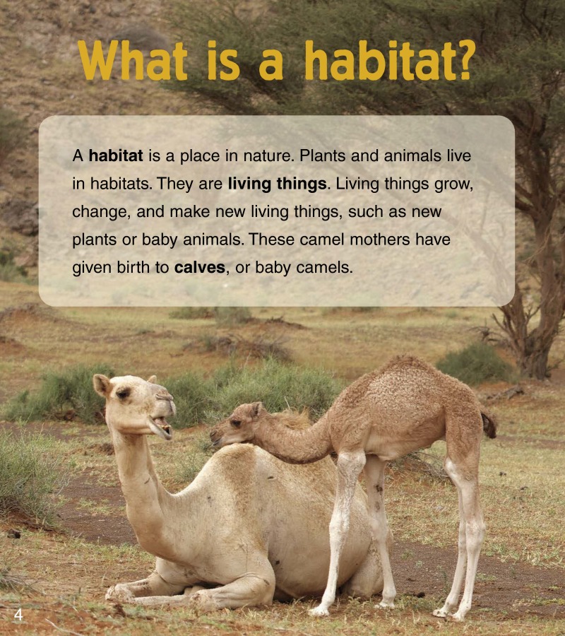 Baby Animals in Desert Habitats — page 1
