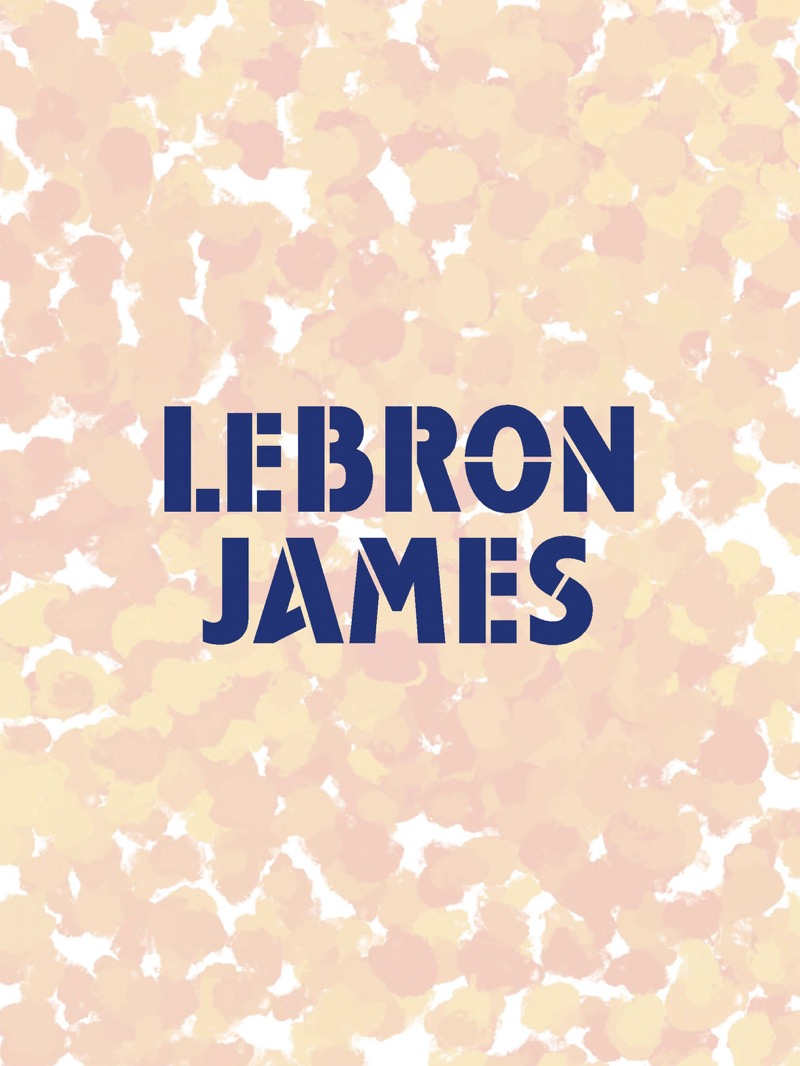 LeBron James: NBA Superstar and Activist book cover