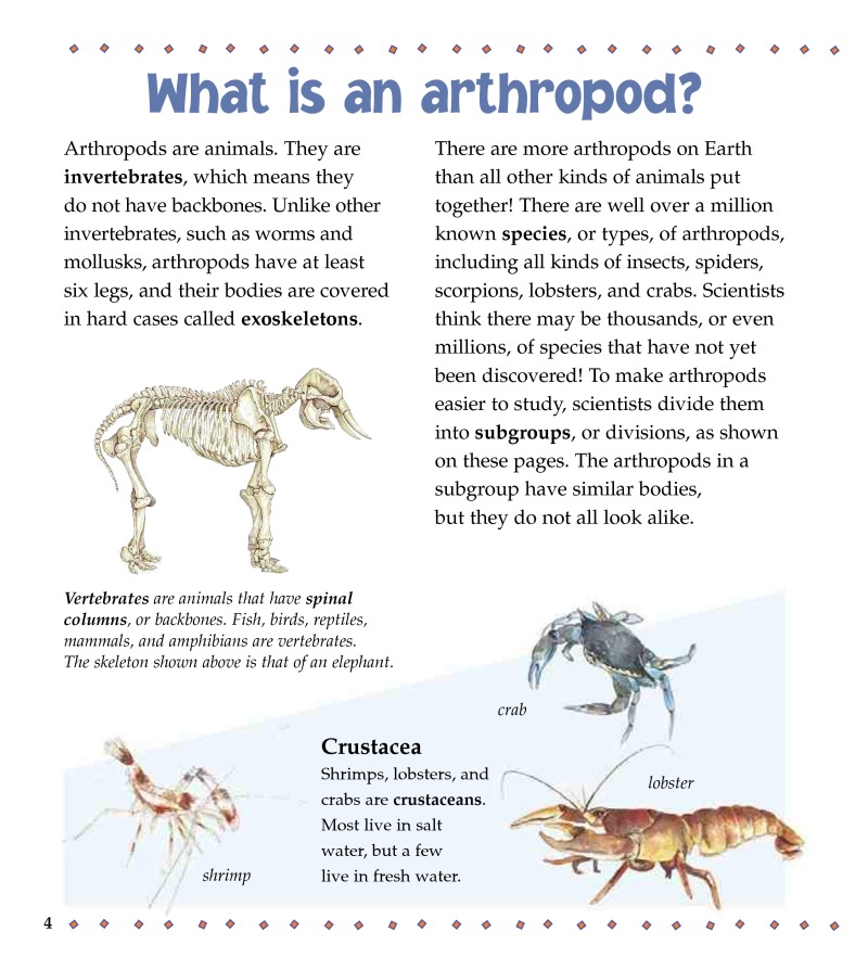 What is an Arthropod? — page 1