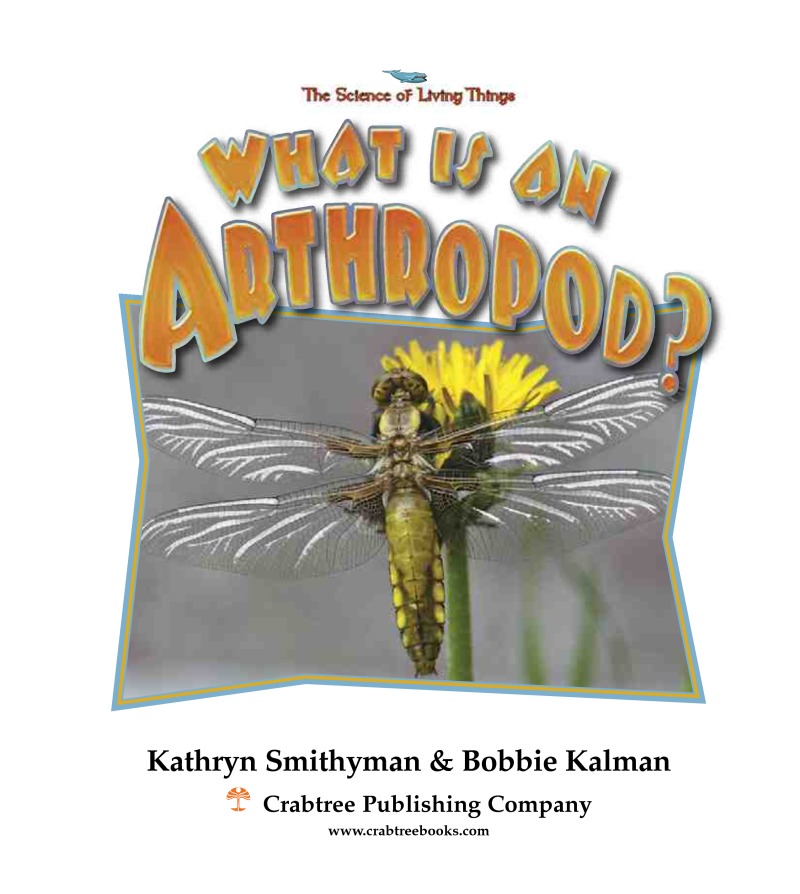 What is an Arthropod? book cover