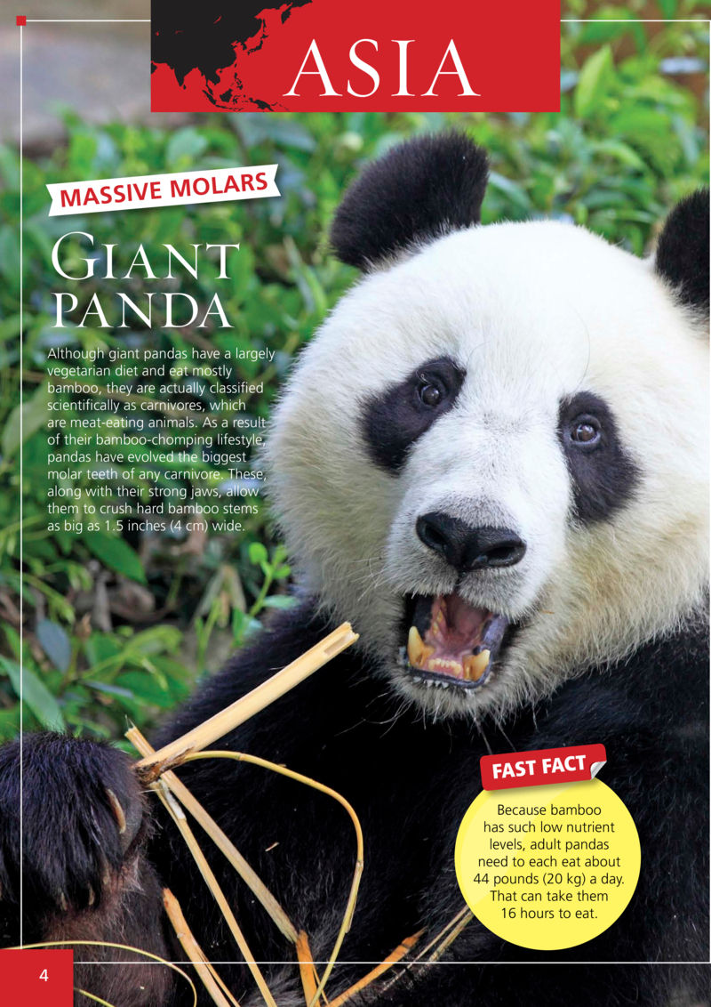 The World's Most: World's Most Extreme Animals — page 1