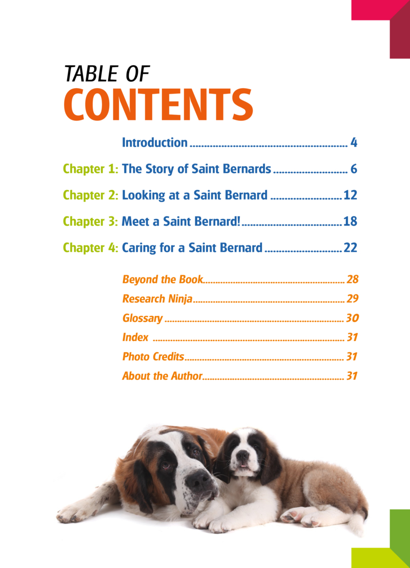 My Favorite Dog: Saint Bernards book cover