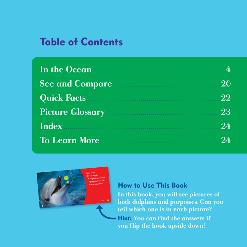 Spot the Differences: Dolphin or Porpoise? book cover