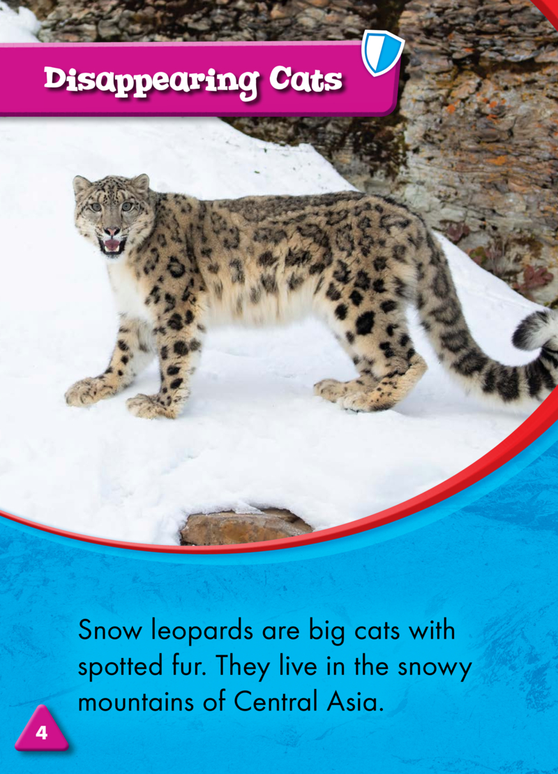 Animals at Risk: Snow Leopards — page 1