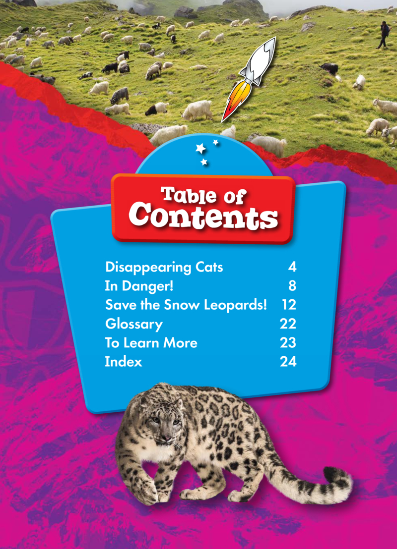 Animals at Risk: Snow Leopards book cover