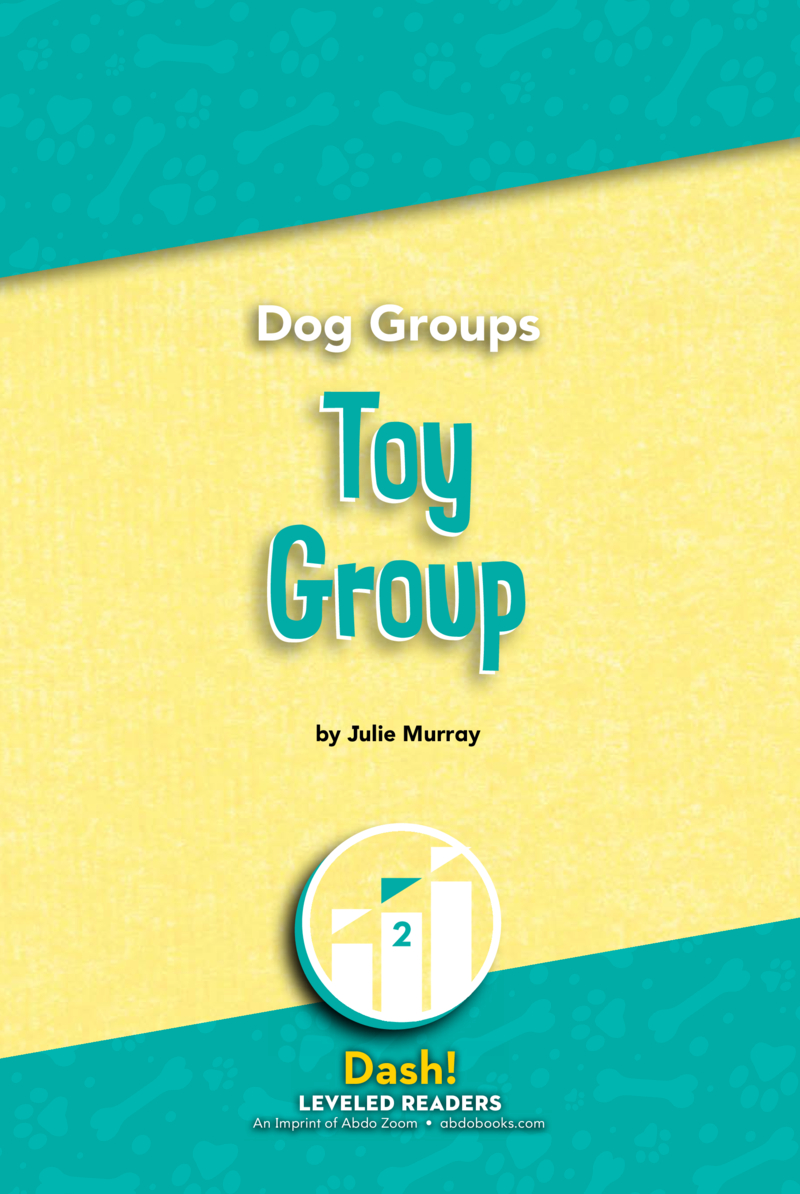 Toy Group book cover