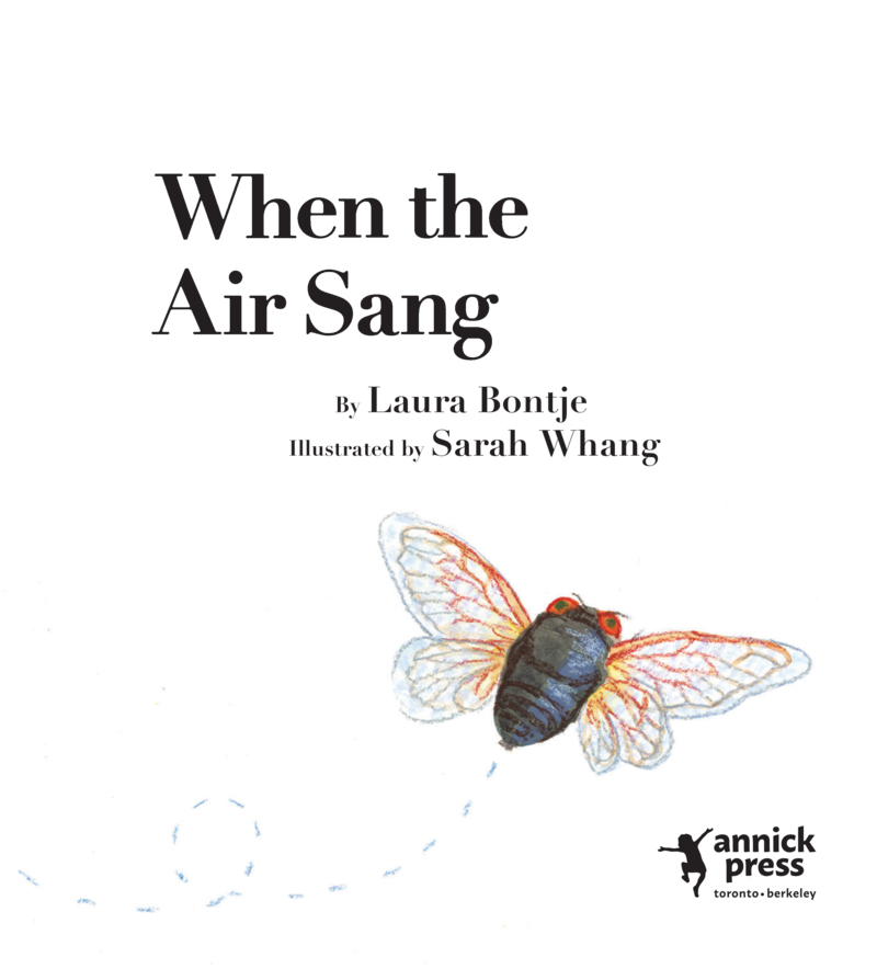 When the Air Sang book cover