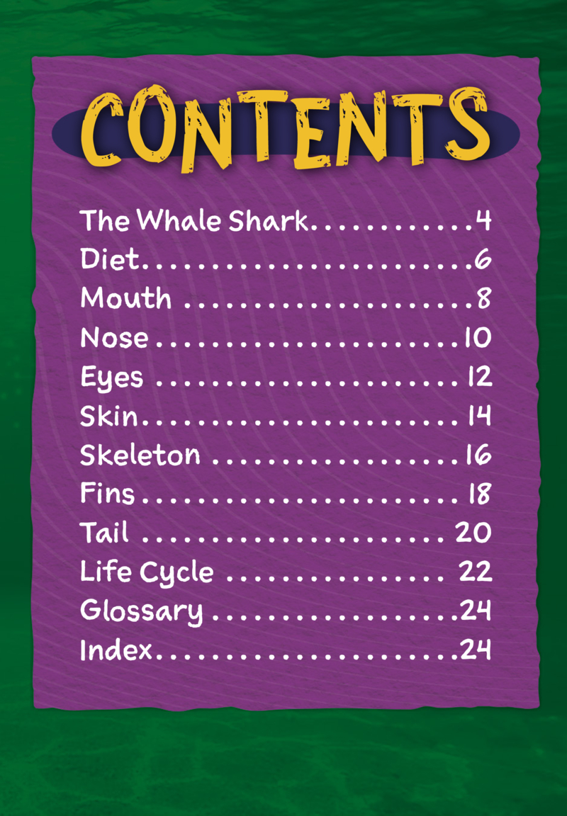 Whale Shark book cover