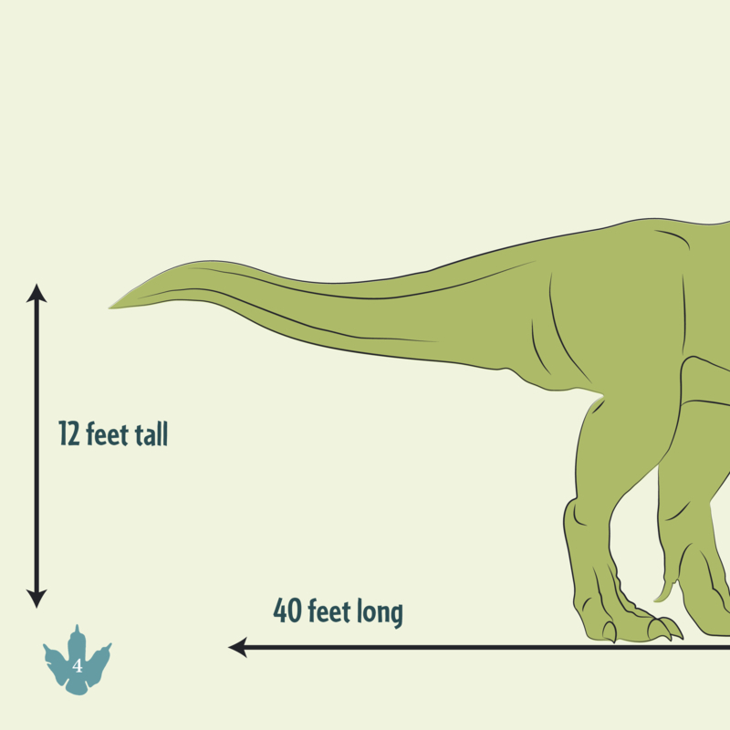 Tyrannosaurus Rex — page 1
