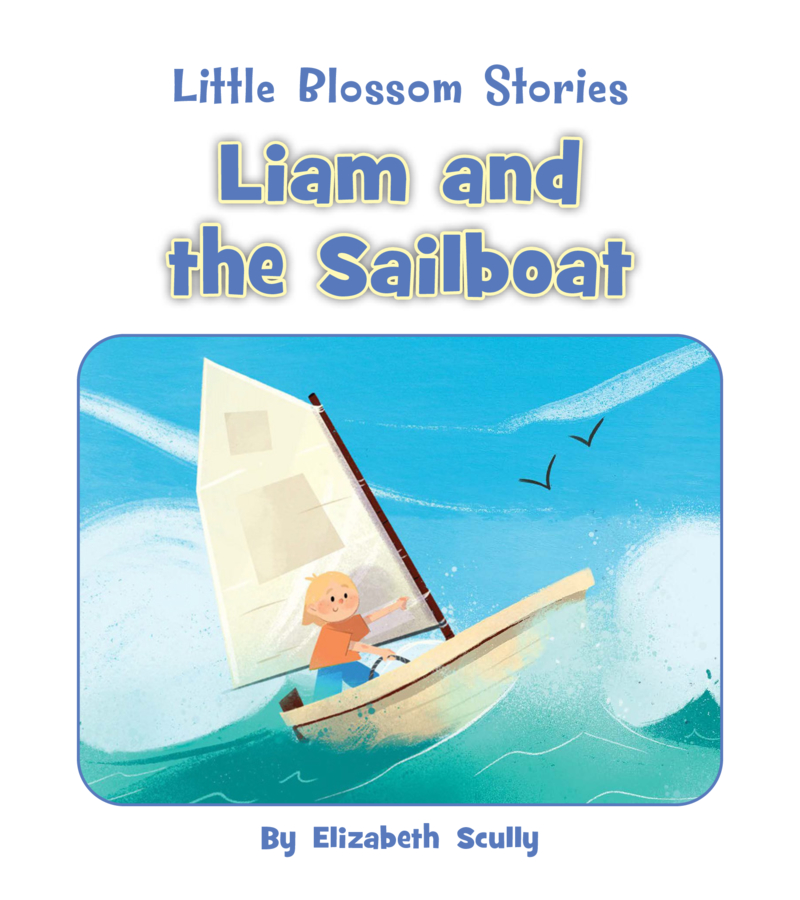 Liam and the Sailboat book cover