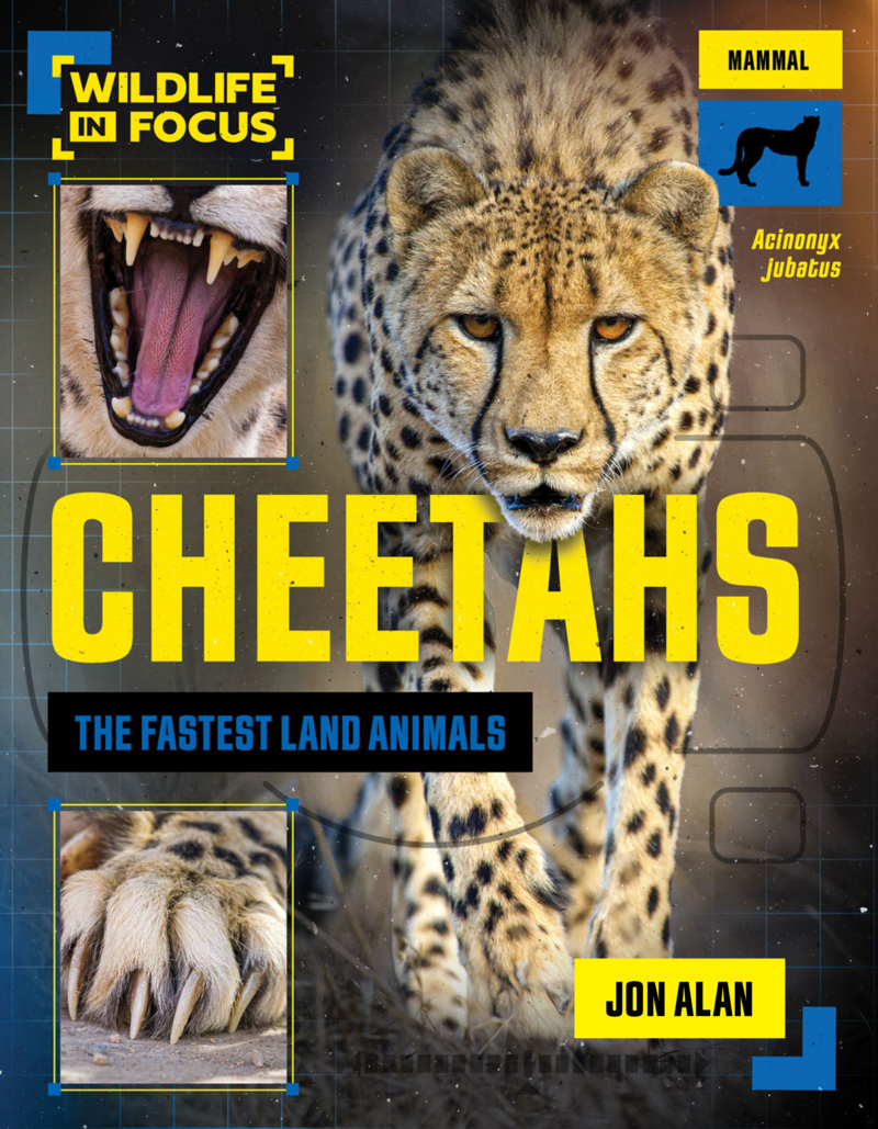 Cheetahs: The Fastest Land Animals book cover