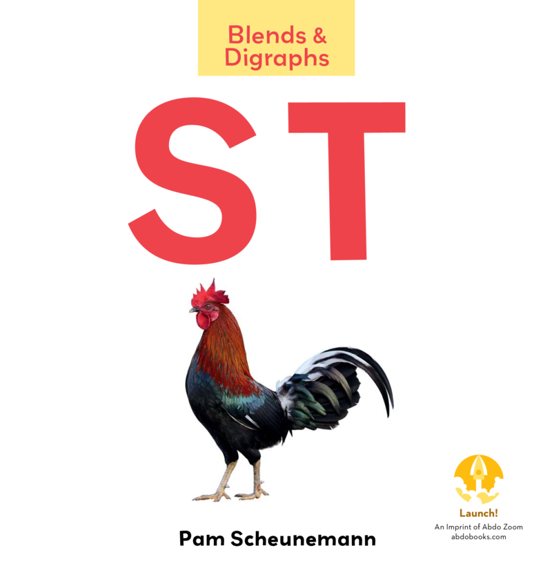 ST book cover