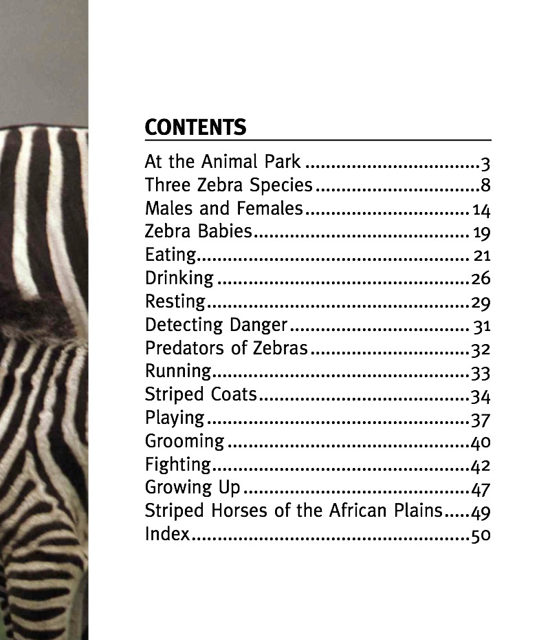 Zebra book cover