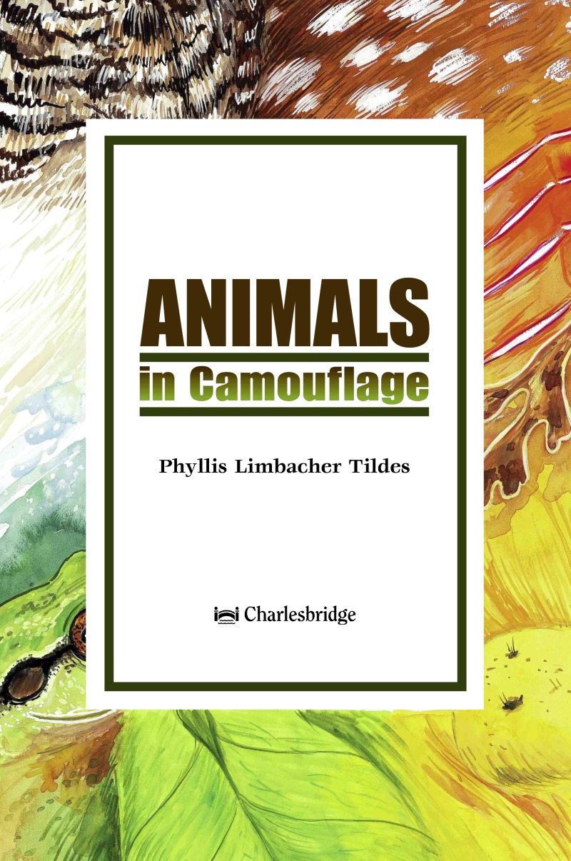 Animals in Camouflage book cover