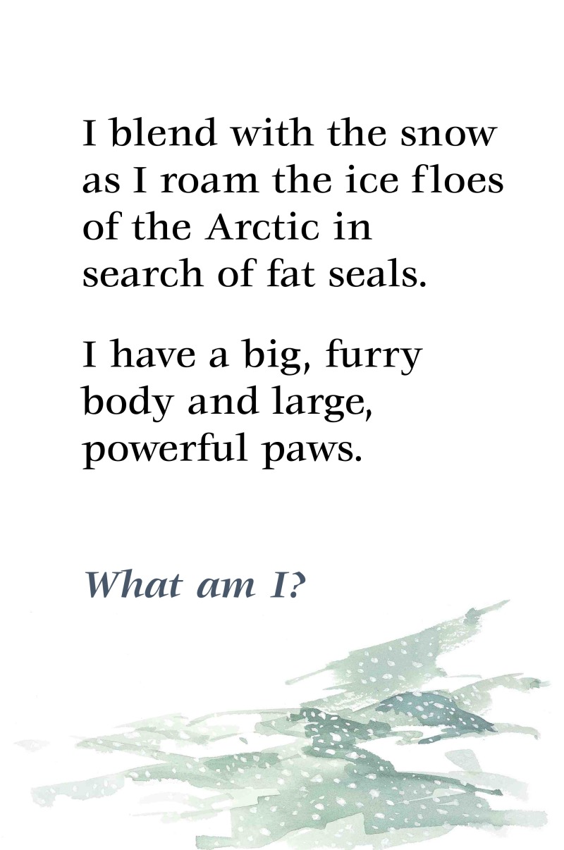 Animals in Camouflage — page 1