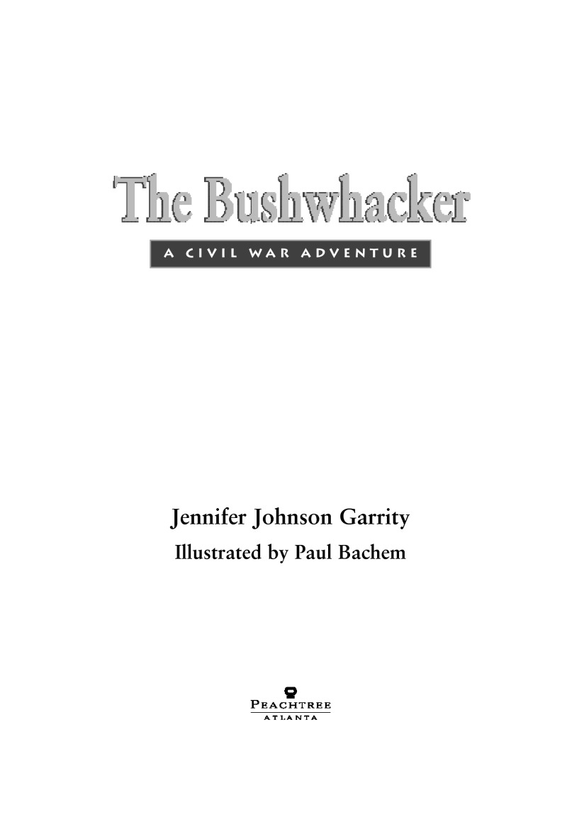 The Bushwhacker: A Civil War Adventure book cover