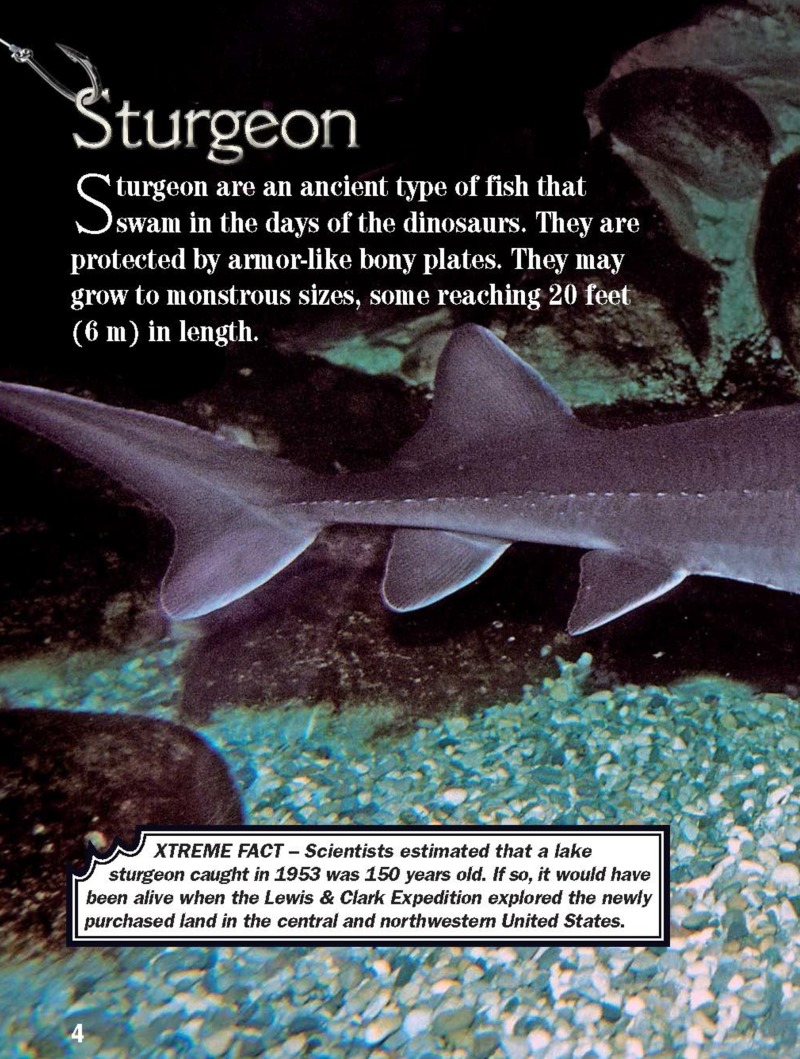 Xtreme Fish: Sturgeon — page 1