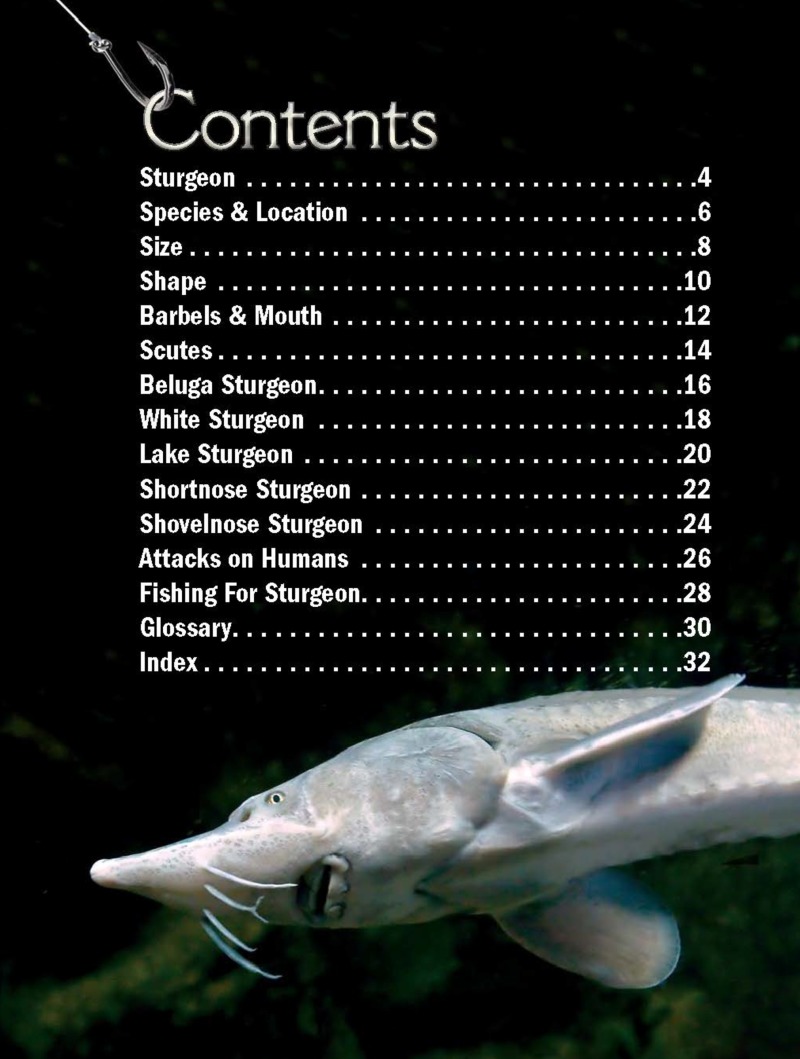 Xtreme Fish: Sturgeon book cover