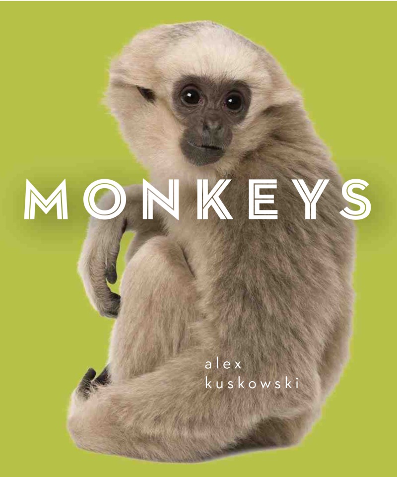 Zoo Animals: Monkeys book cover