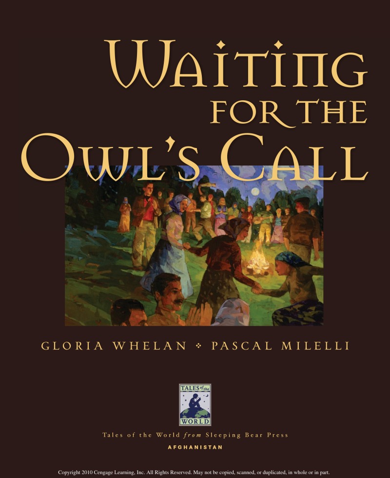 Waiting for the Owl's Call book cover