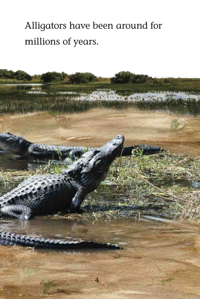 Magic Readers: Alligators in the Swamp — page 1