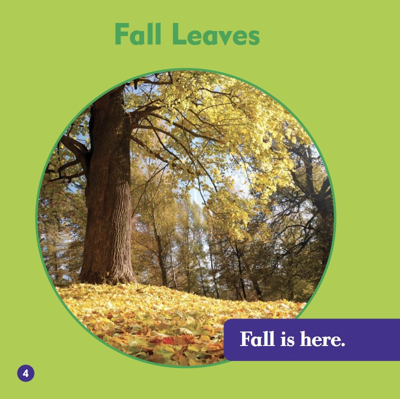 What Happens In Fall? Leaves In Fall — page 1