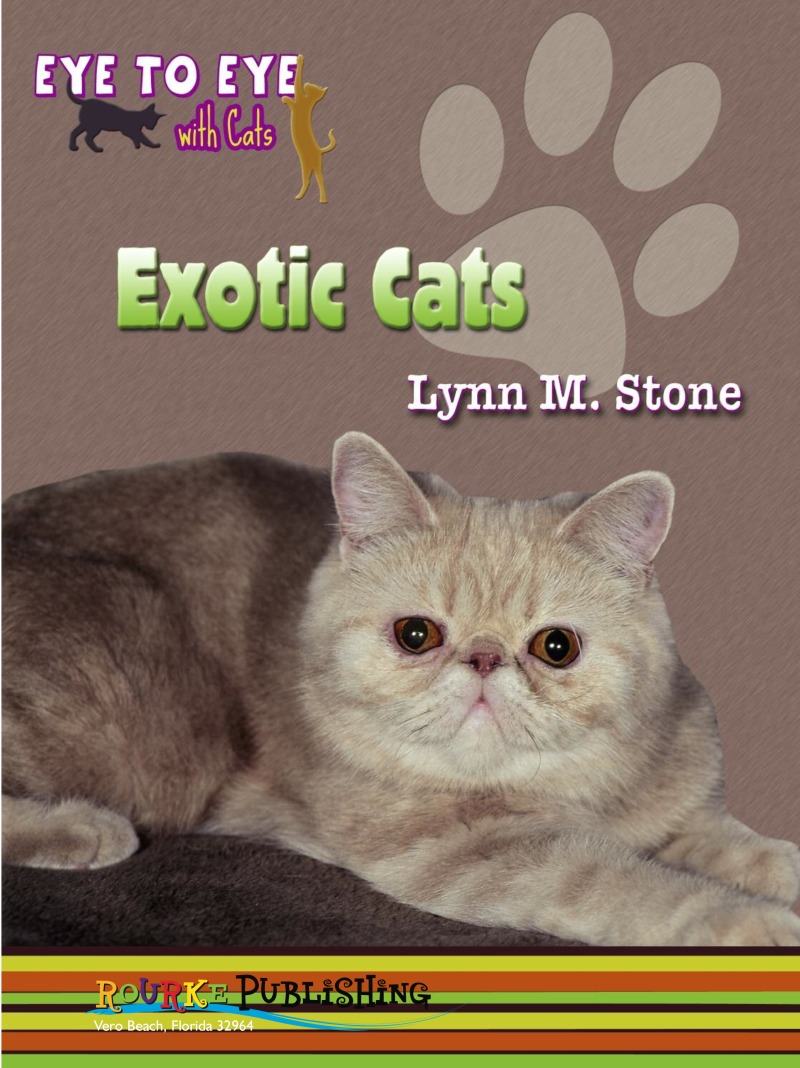 Eye To Eye With Cats: Exotic Shorthair Cats book cover
