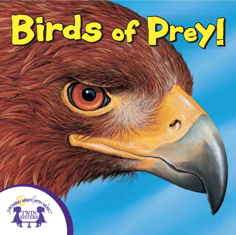 Birds Of Prey! book cover