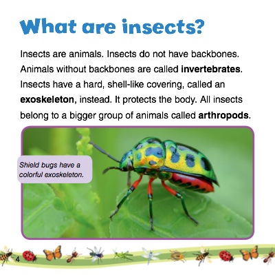 How Do Insects Work Together? — page 1