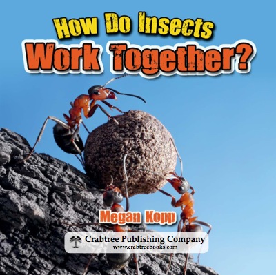 How Do Insects Work Together? book cover