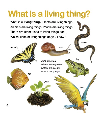 What Kind Of Living Thing Is It? — page 1