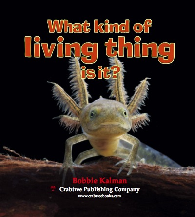 What Kind Of Living Thing Is It? book cover