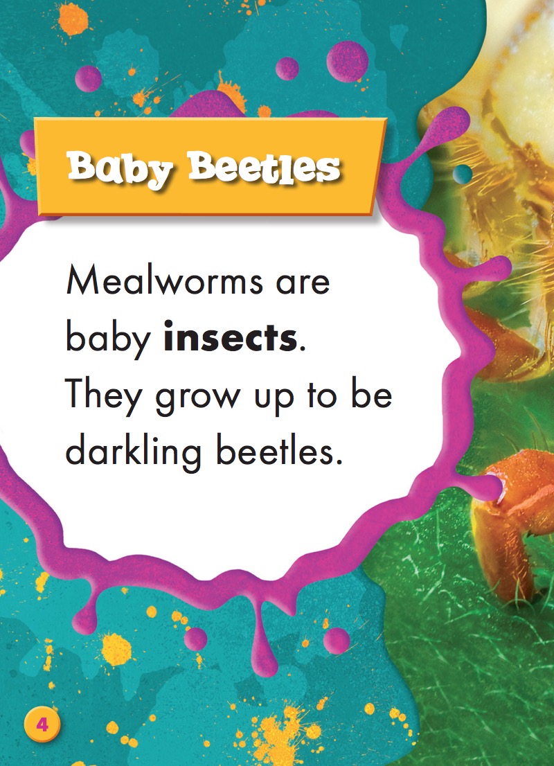 Creepy Crawlies: Mealworms — page 1