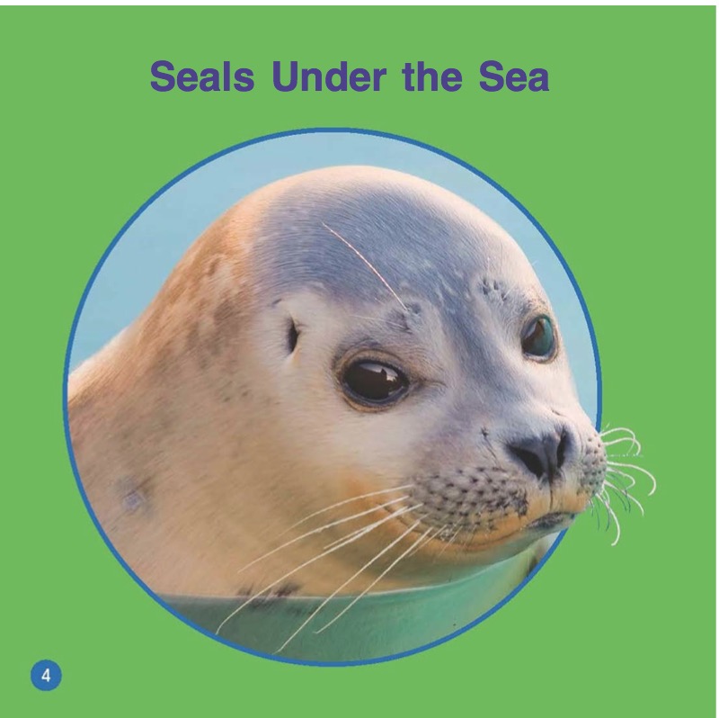 Seals — page 1