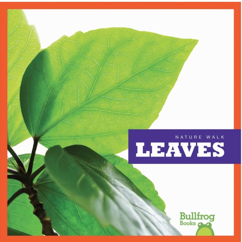 Leaves book cover