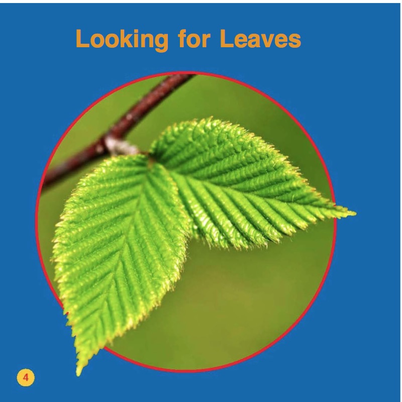 Leaves — page 1