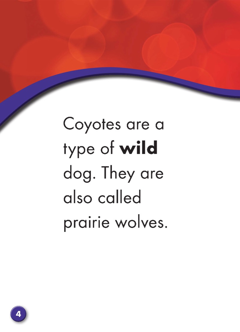 Coyotes: Backyard Wildlife — page 1