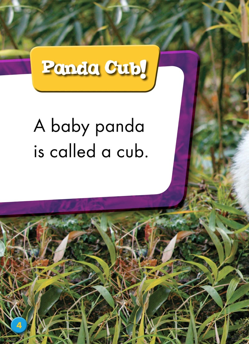 Super Cute! Baby Pandas — page 1