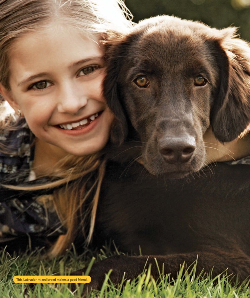 National Geographic Kids Everything Pets — page 1