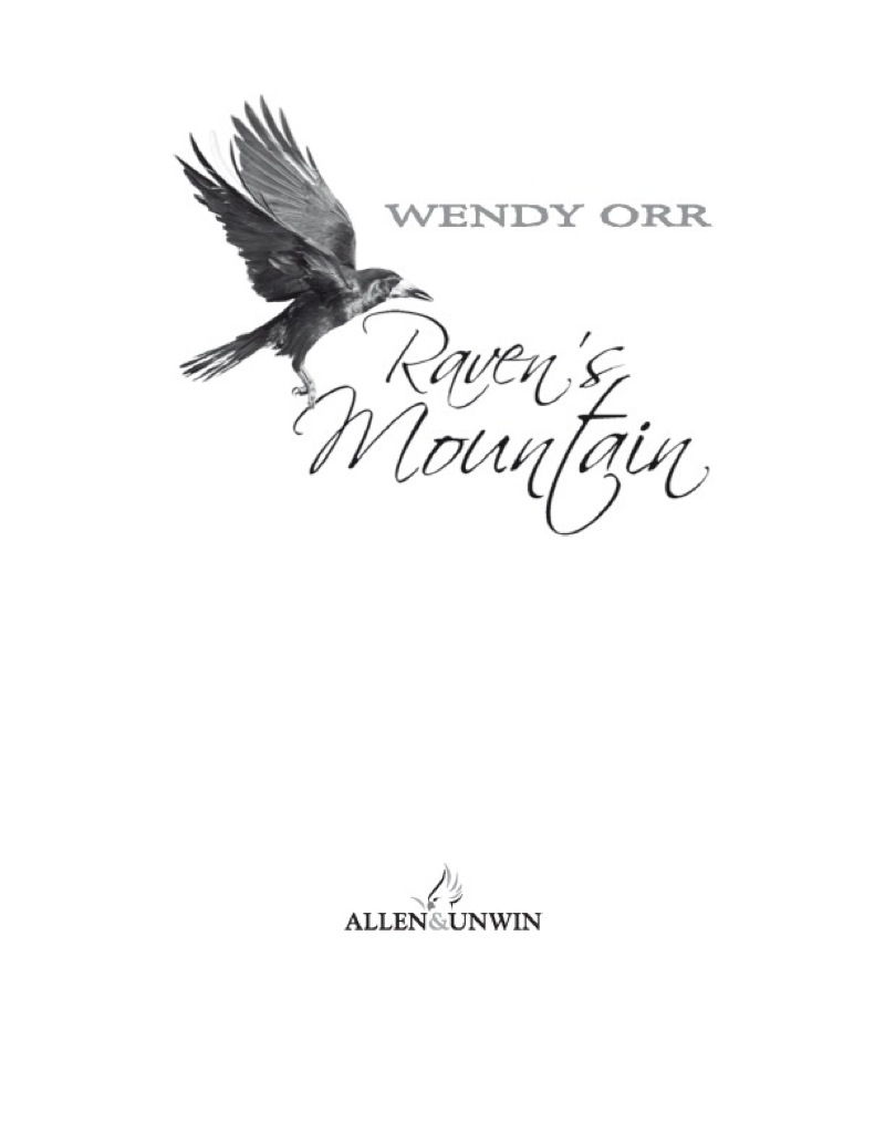 Raven's Mountain book cover