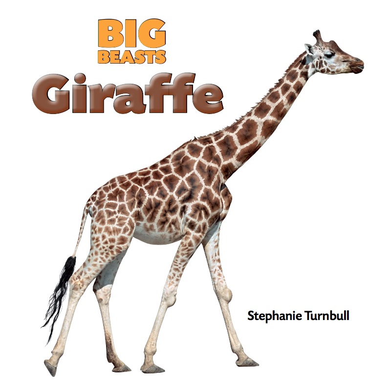 Giraffe book cover