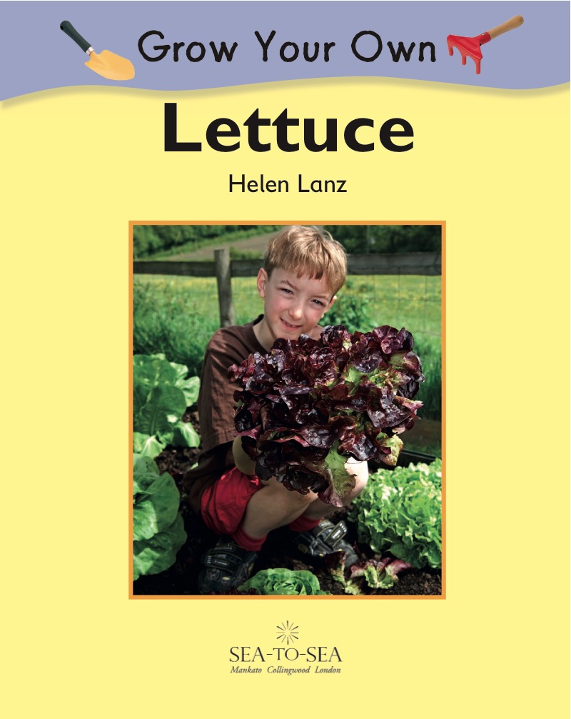 Lettuce book cover