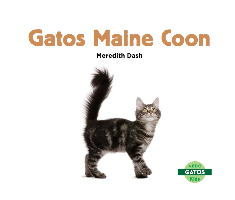 Gatos Maine Coon book cover